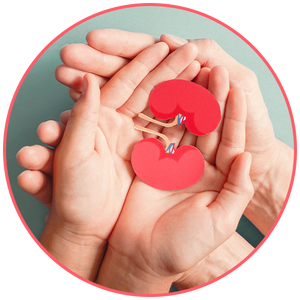 पेट शुद्धि for Kidney Care